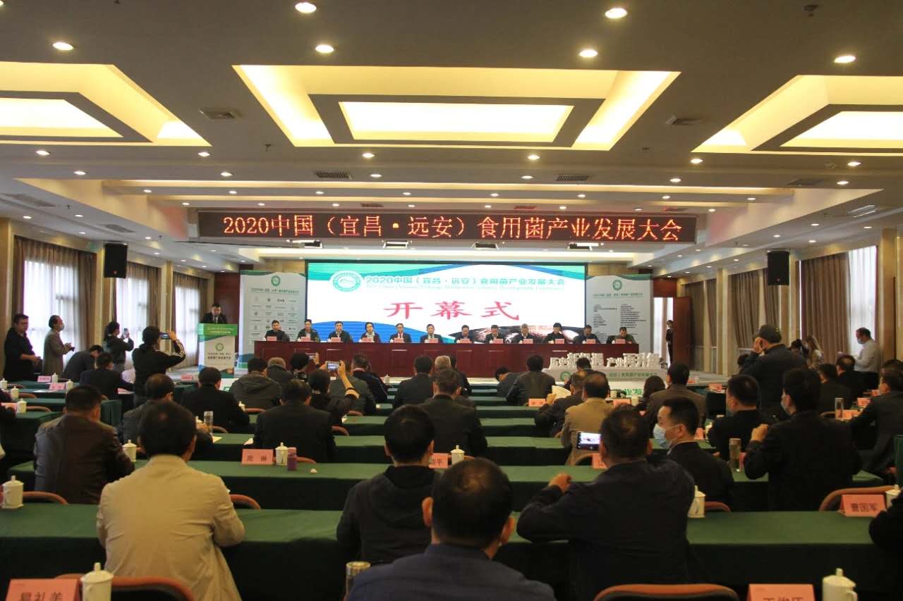 微信图片_202010141045093.jpg